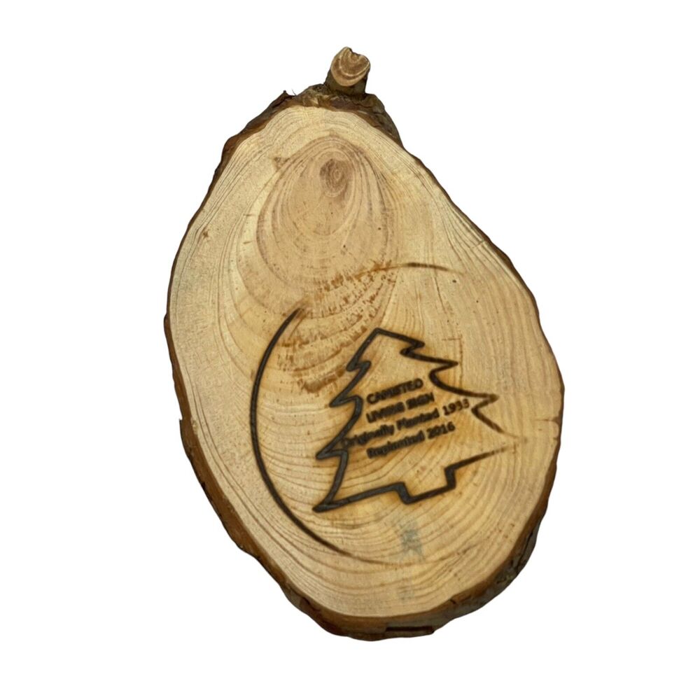 Canisteo Living Sign 5x6 Tree Ring Cutting Planted 1933 Replanted 2016 - Picture 5 of 6